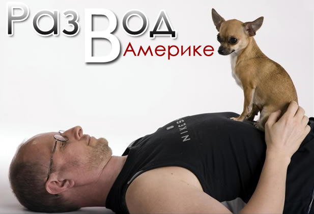 в Америке около 40 процентов семей владеют собаками или кошками razvod america sobaka