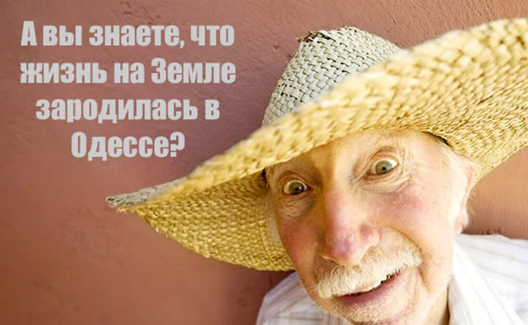 odessa humor