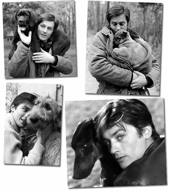 alain delon and dogs