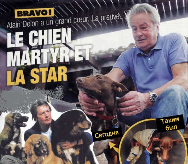 alain delon with dog mambo
