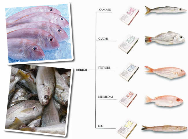 krabovie palochki surimi sostav fish