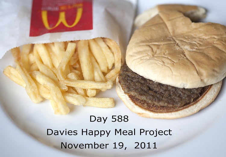 гамбургер-1 Гамбургер из МакДональдса не портится минимум 12 лет