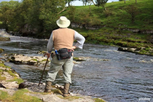 Активное долголетие — движение