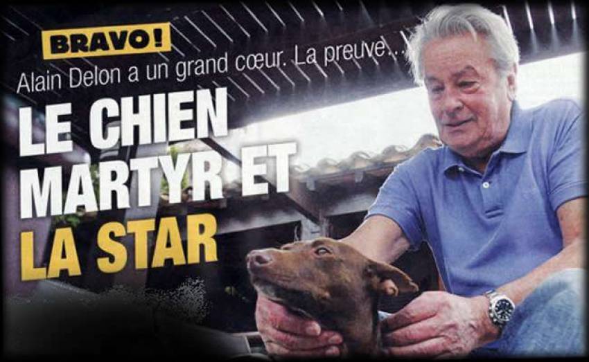 Ален Делон и пёс-мученик Mambo