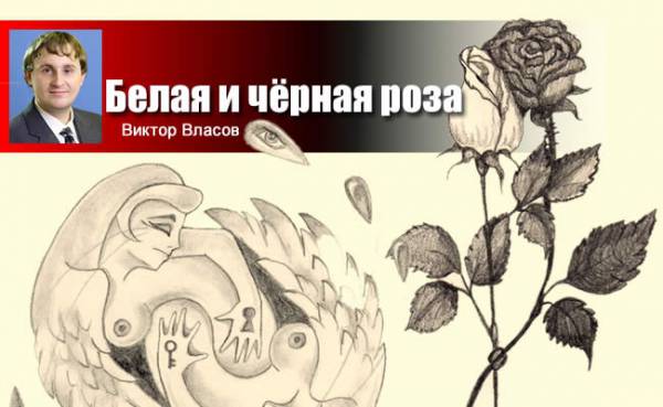 Белая и чёрная роза