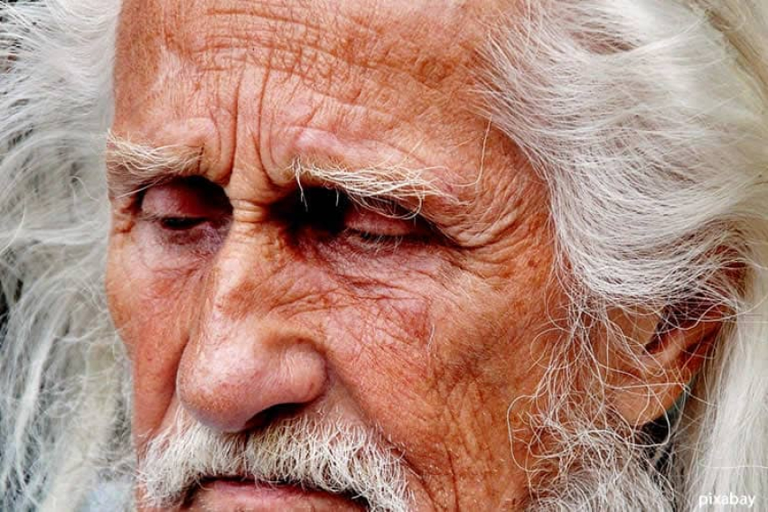 Долгожительство — это ИСКУССТВО!