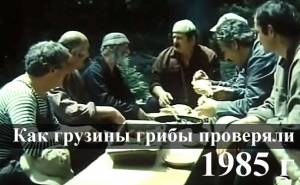 Грузины хотели проверить грибы на съедобность