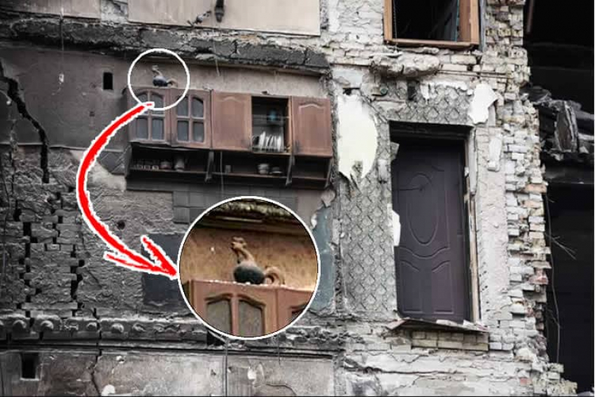 «Восемьдесят девятый день: Шкафчик»