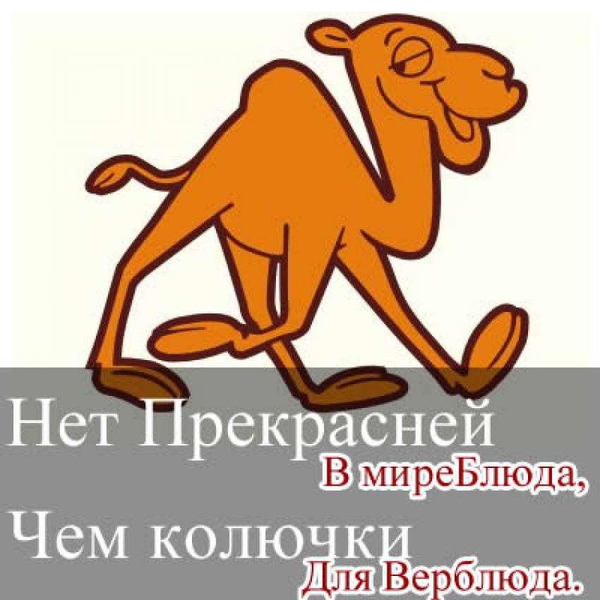 Нет прекрасней в мире блюда
