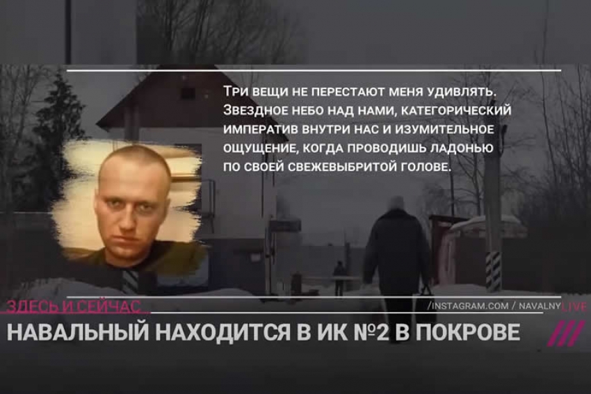 Навальный в колонии Покрова. Автор «Протестного МГУ» о 40 сутках ареста. Номинанты на «Оскар»