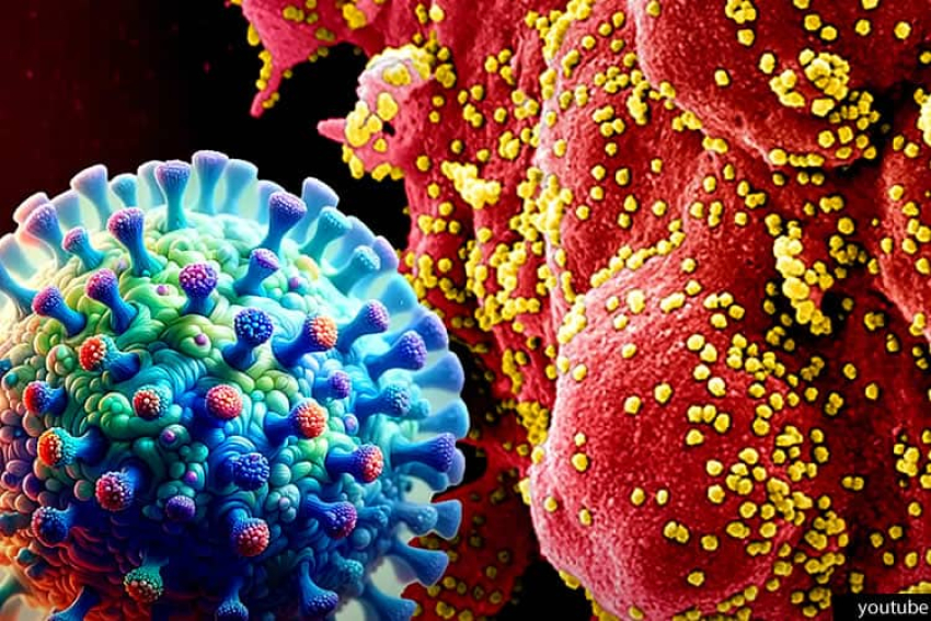 Китай обвинил США в сокрытии информации о COVID-19