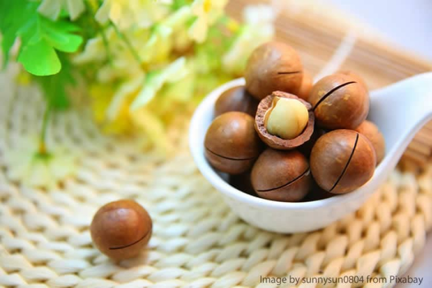 Что такое макадамия и чем эти плоды полезны для здоровья