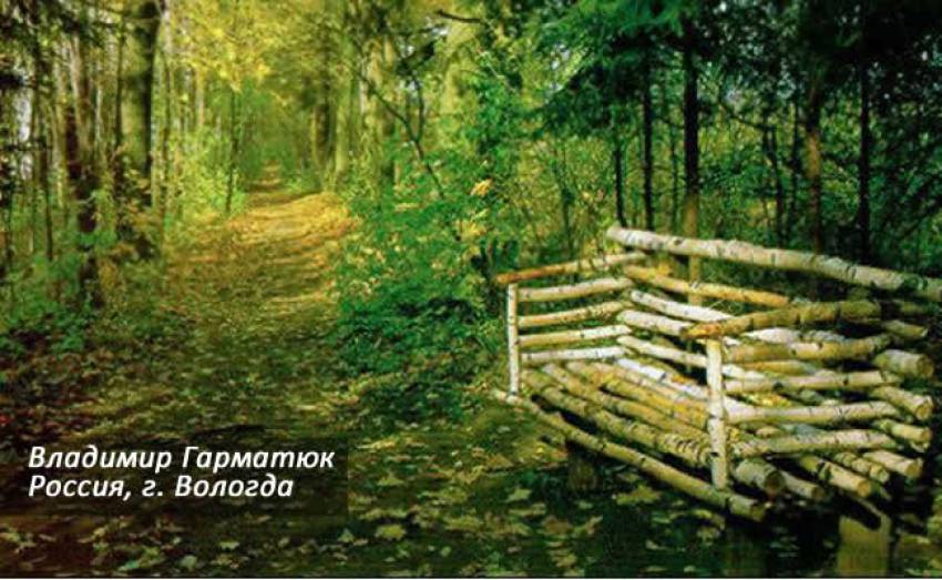 Владимир Гарматюк: Сознание бессмертия